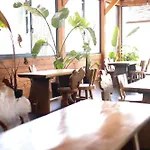 فيلة Posh 1 كافاجي