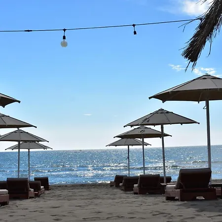 فيلة Posh 1 كافاجي