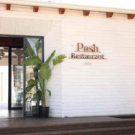 Posh 1 Kavaje